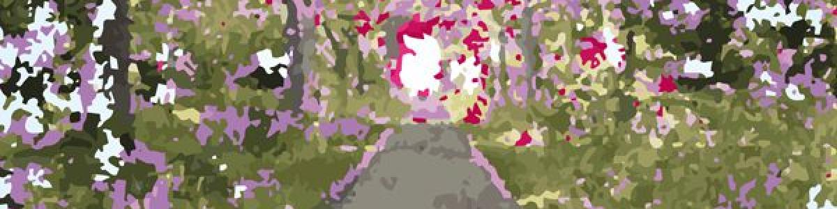 Allé med træer og blomster